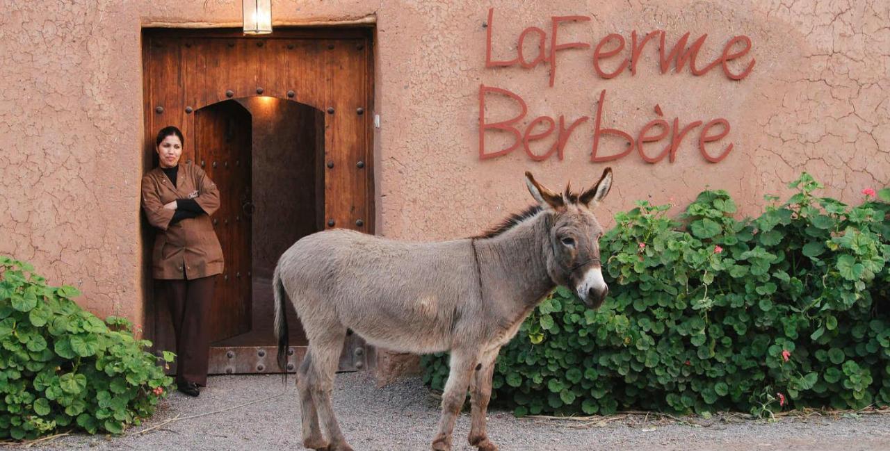 La Ferme Berbere Adult Only El Harkat Exterior foto