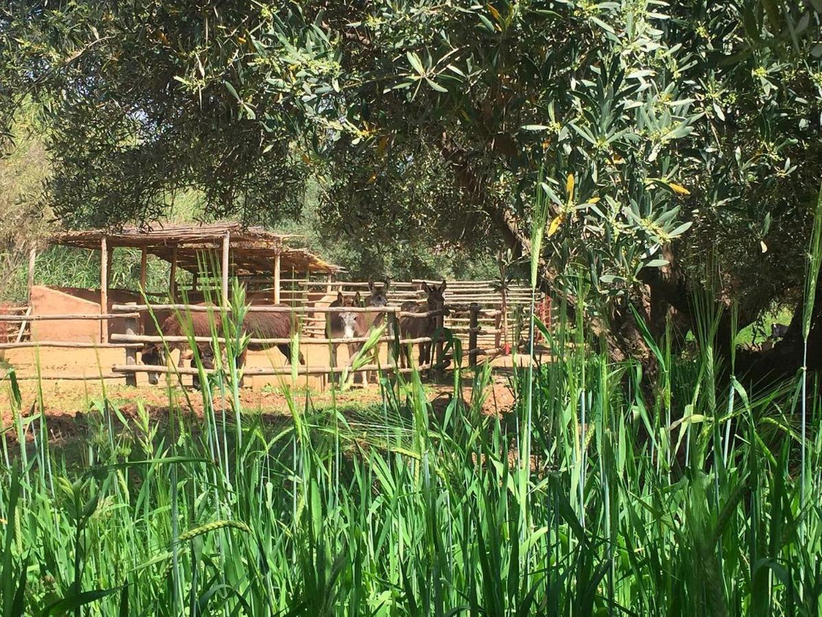 La Ferme Berbere Adult Only El Harkat Exterior foto