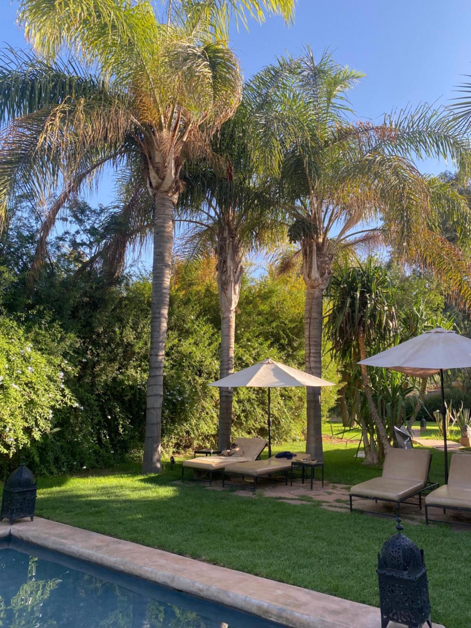 La Ferme Berbere Adult Only El Harkat Exterior foto